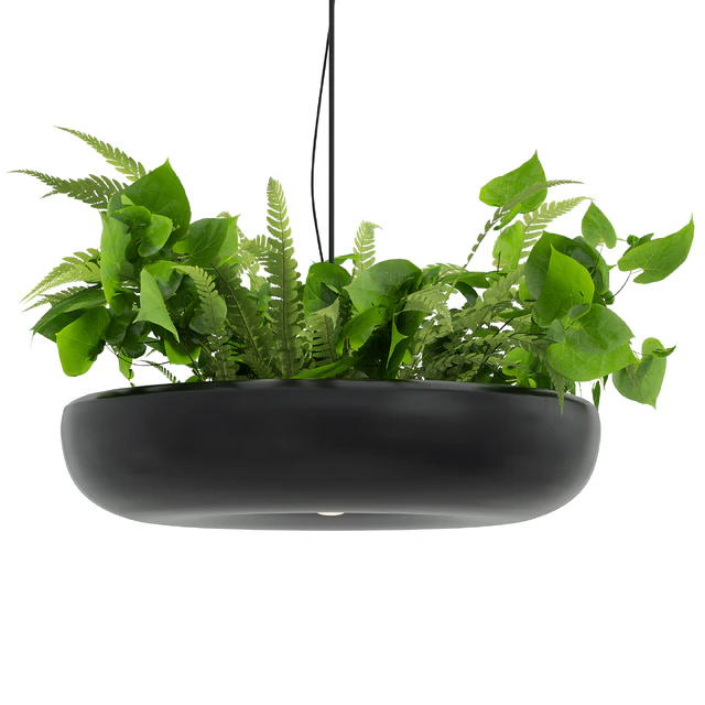 Indrid Decorative Plants Black Light By Lightmakers — Скачать