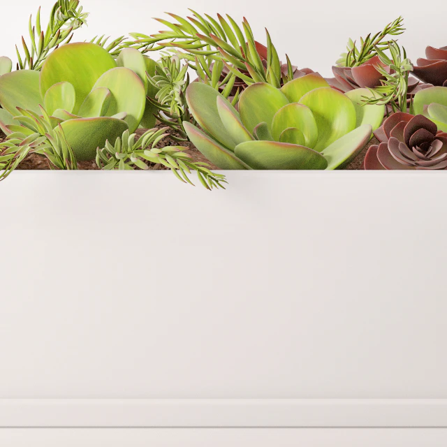 Contemporary houseplants — Скачать