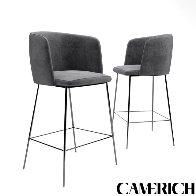 CAMERICH BALLET — Descargar