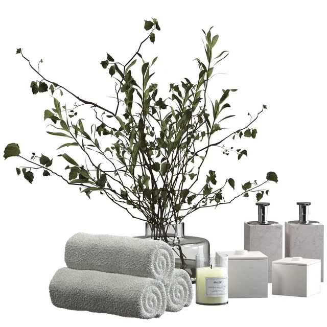 Decorative bathroom set with a bouquet of branches — Descargar