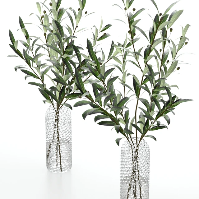 Bouquets of olives. — Descargar