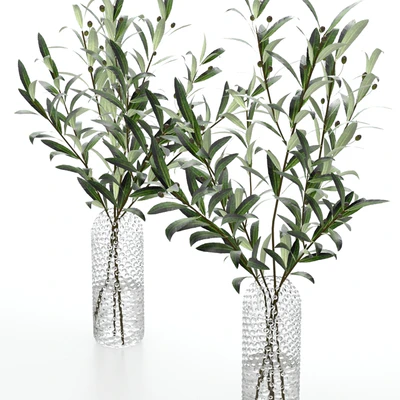 Bouquets of olives. — Ver 5