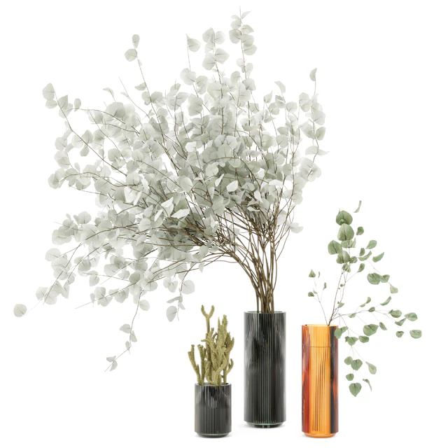 Indoor Plants  Cactus & Eucalyptus whit Glass Pots - Set 38 — Скачать