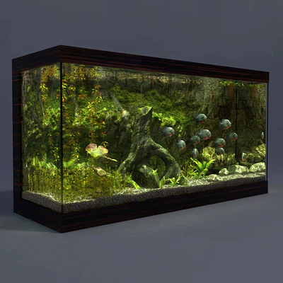 Aquarium — Ver 4