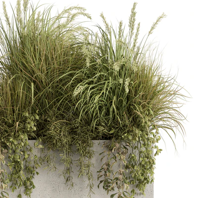 Plant Box - Outdoor Plants 480 — Ver 3