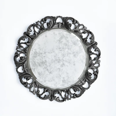 Mirror DV HOME CIRCLE — Вид 1