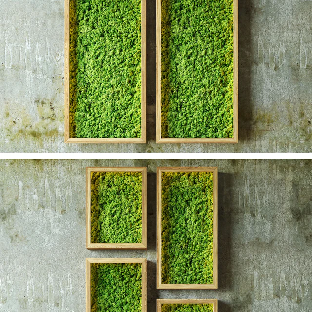 Moss walls — Скачать