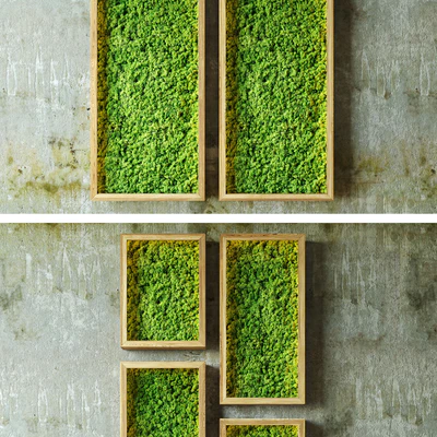 Moss walls — Вид 3
