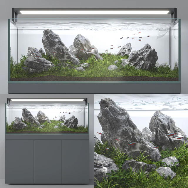 Aquascape aquarium Iwagumi — Скачать