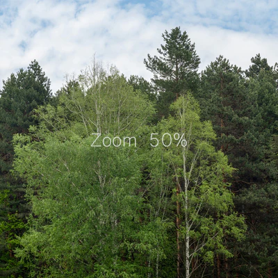 Panorama from the park v2. 30k — Ver 7
