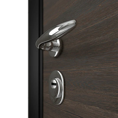 Door entrance metal with wooden decorative plate — Ver 3
