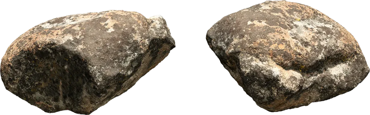 mossy forest boulder 010 — Descargar