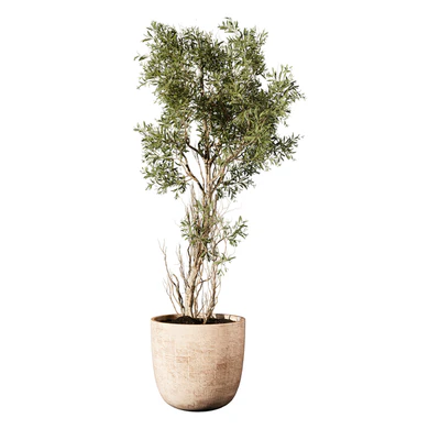 Outdoor Plant 207 — Ver 5