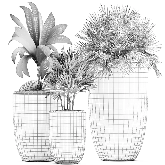 Collection of small plants in ethnic aged pots with coconut nutsifera, fan palm, Rhapis . Set 475. — Descargar