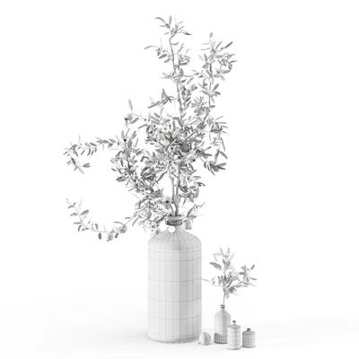 Pomegranate branches in pharmacy bottles — Ver 6