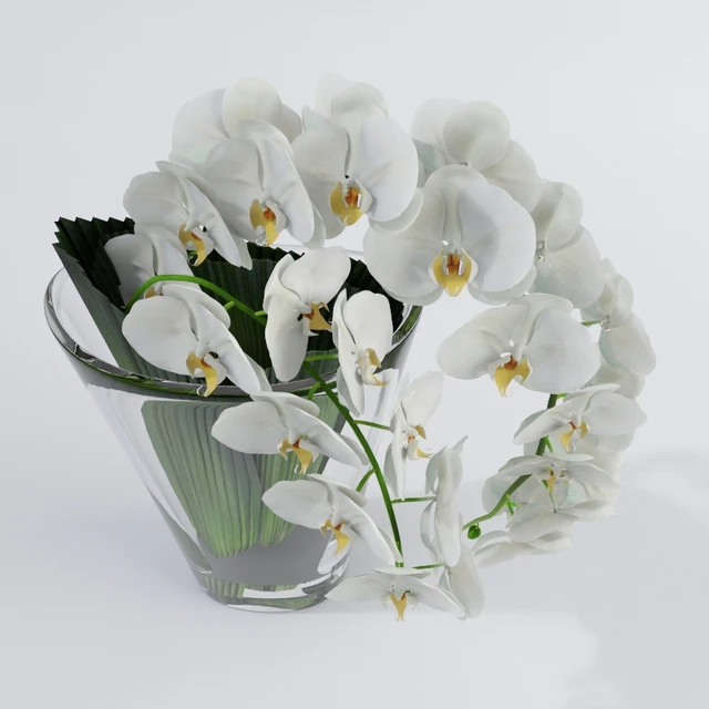 Orchid VG — Descargar