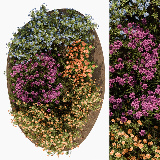 Garden Set colorful Flower Bush  - Outdoor Plants Set 424 — Скачать