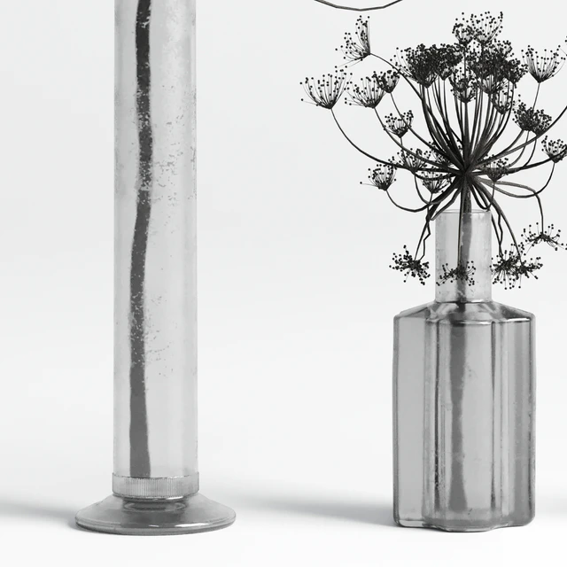 Bouquet Set 01 Vase Glass Dry Hogweed — Скачать
