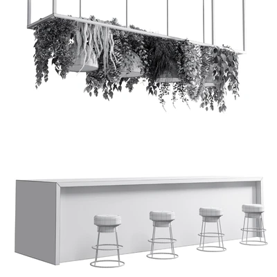 Coffee shop reception, Restaurant counter by hanging plant - 04 — Ver 6