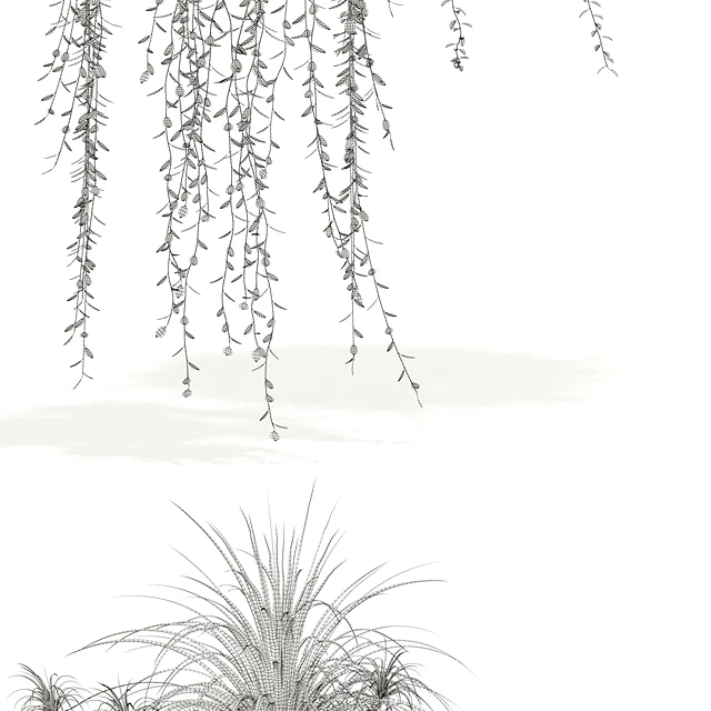 Plants collection 121 — Descargar