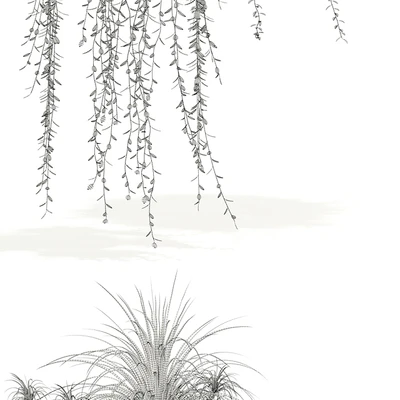 Plants collection 121 — Ver 2