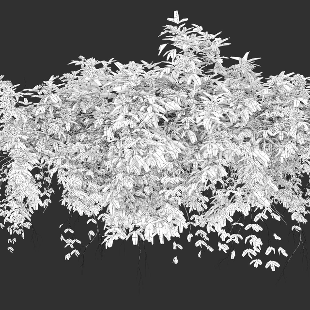 Hanging Plant 23 — Скачать