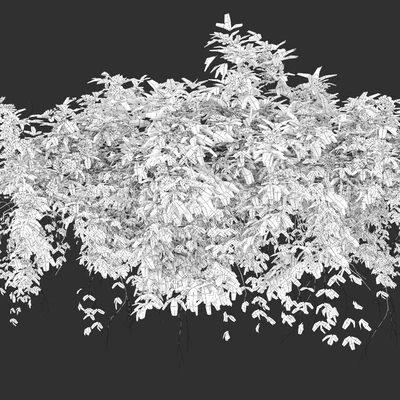 Hanging Plant 23 — Вид 4