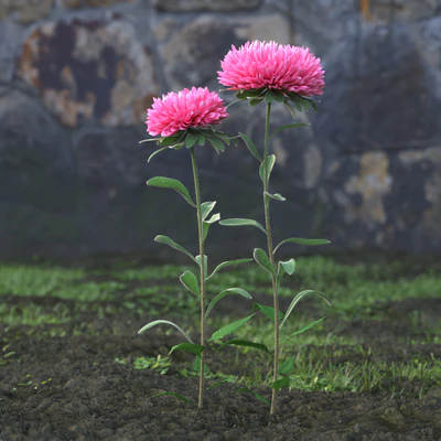 garden flowers 002 — Descargar