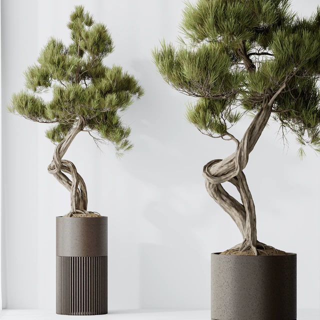 Indoor plant set 23 — Descargar