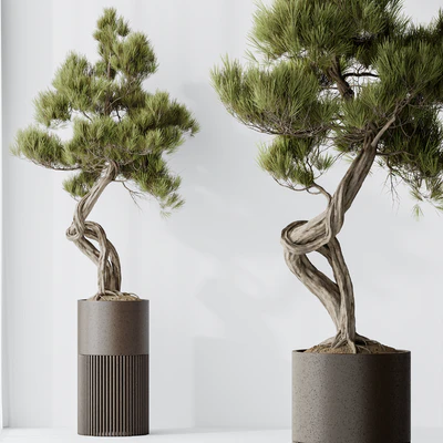 Indoor plant set 23 — Ver 5