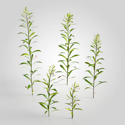 low poly plants 001 — Descargar