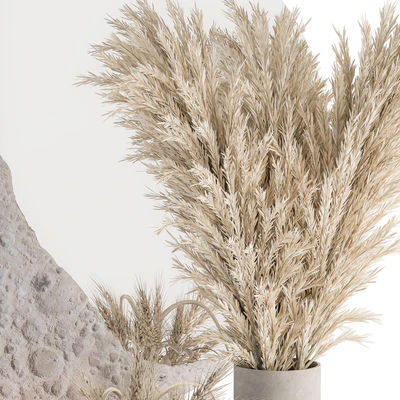 Decorative Set moon mirror with Dried Plant - Set 100 — Ver 6