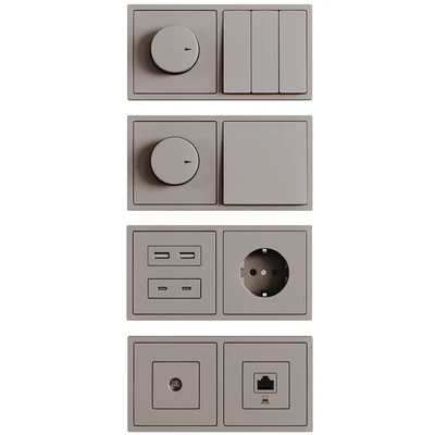 Sockets and switches / Lezard Rain. — Ver 4
