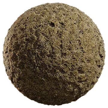 grass dried 038 — Descargar