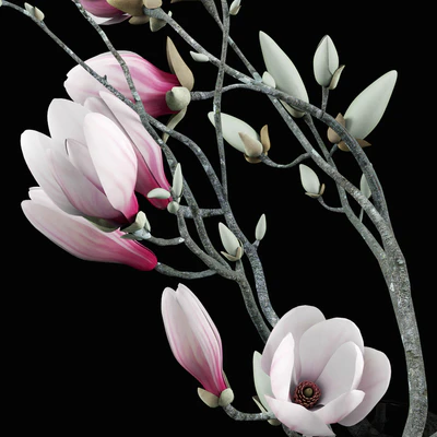 Magnolia Bouquet — Вид 3
