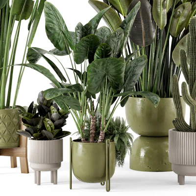 Indoor Plants in Standing Legs Small Bowl Concrete Pot - Set 563 — Ver 7