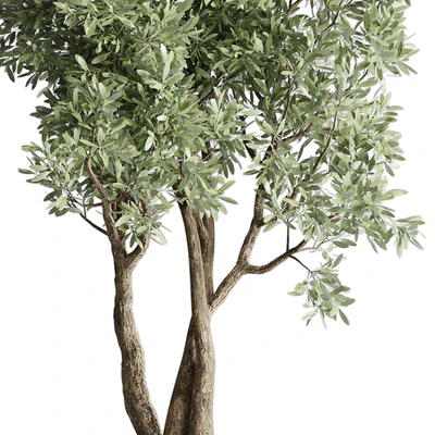 Collection Outdoor Indoor plant 52 concrete dirt vase pot tree — Вид 3