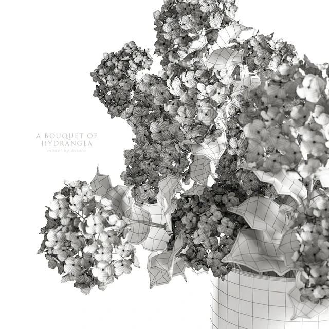 A bouquet of hydrangea — Descargar