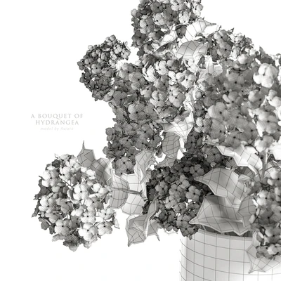 A bouquet of hydrangea — Ver 3