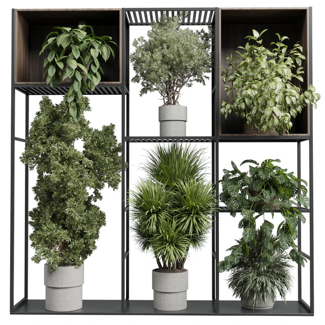 Standing metal shelf with a set of plants in wooden and metal boxes 419 — Скачать