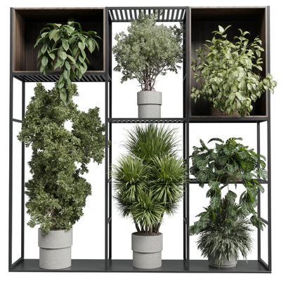Standing metal shelf with a set of plants in wooden and metal boxes 419 — Вид 1