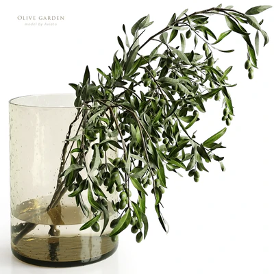 olive garden — Ver 1