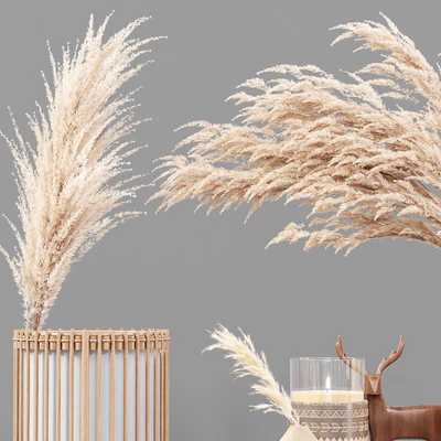 Decor Set 05 — Ver 5
