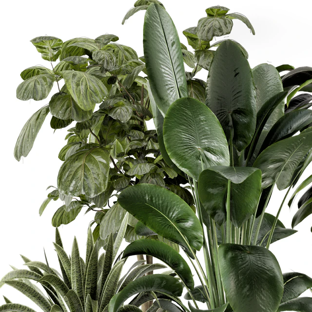 Indoor Plants in Ferm Living Bau Pot Large - Set 983 — Descargar