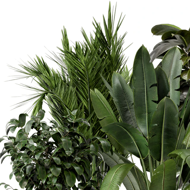Indoor Plants in Ferm Living Bau Pot Large - Set 879 — Descargar