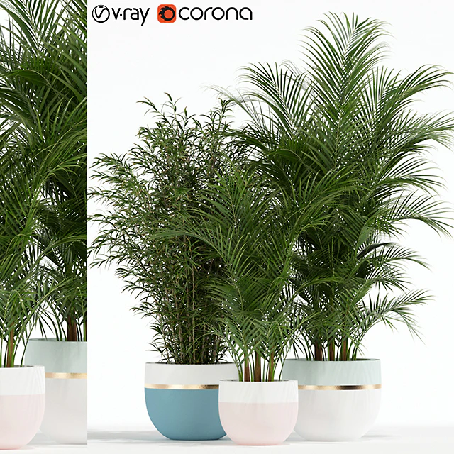 Plants collection 136 — Скачать