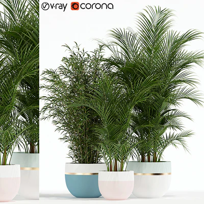 Plants collection 136 — Вид 1