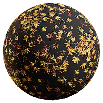 autumn liquid amber leaves 001 — Download
