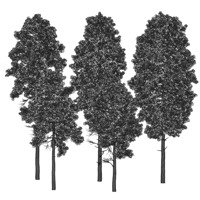 Pine 18m and 12m — Descargar