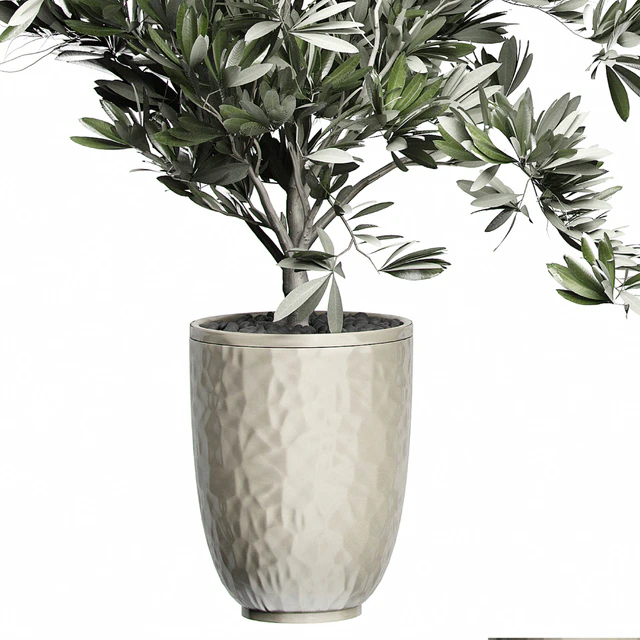 Flower Pack 123 - Olive Tree — Descargar